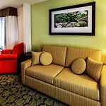 Hotel Hilton Garden New York/staten Island New York