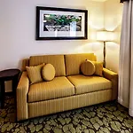 Hilton Garden New York/staten Island New York