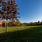 Cozy Shack 1 Bedroom Studio With Sofa And Full Kitchen In Elmhurst Ny