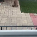 Gem In The Bronx, New York