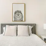 Lovely And Comfy Studio In Nyc