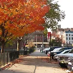 2Br Apt Near Mount Sinai & Metropolitan Hospitals