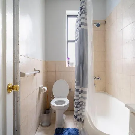 Apartment Artsy And Spacious 1 Bedroom In Crown Heights