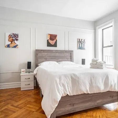 Apartment Artsy And Spacious 1 Bedroom In Crown Heights