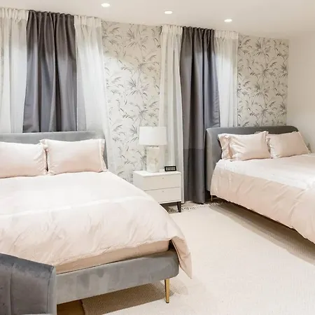 Privet House - Midwood/flatbush Recently Remodeled