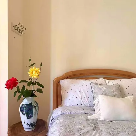 Apartment Spacious 6b4b Quiet Elegant Entire Private House *