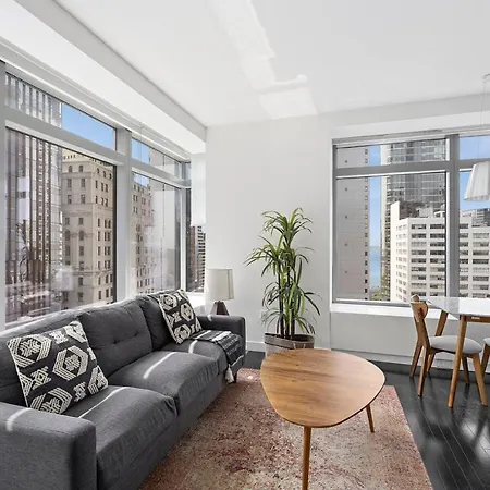 Financial District 1br W Wd Gym Elevator Nyc-1361 Apartment