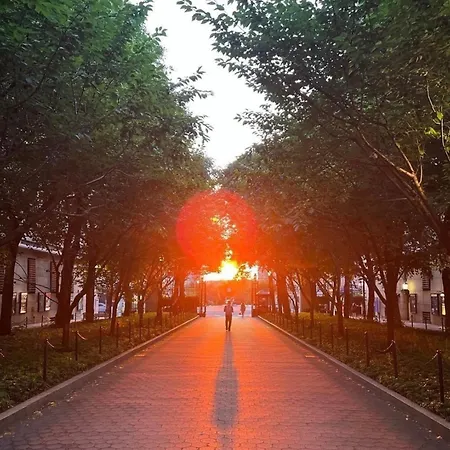 Sunny On Manhattan's Upper West Side New York