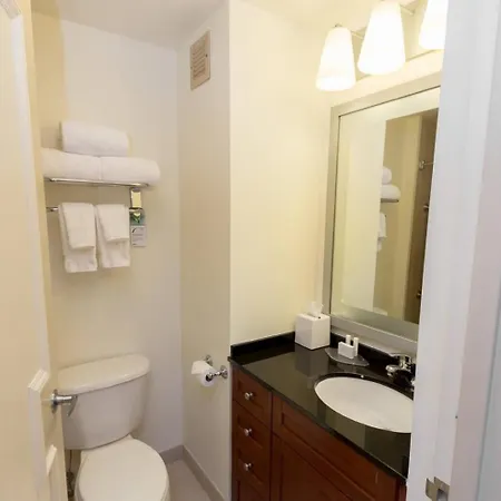 Apartment Comfortable Studio In Nyc! New York