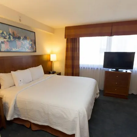 Comfortable Studio In Nyc! Apartment