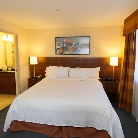 Apartment Comfortable Studio In Nyc!