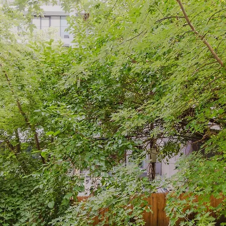 Apartment Blueground Williamsburg Wd Ac Near Park Nyc-1552 *