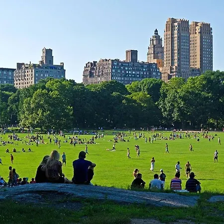 Cozy Central Park Pad Close To Everything! Apartment New York