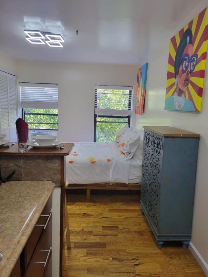 The Harlem Cascades Apartment *