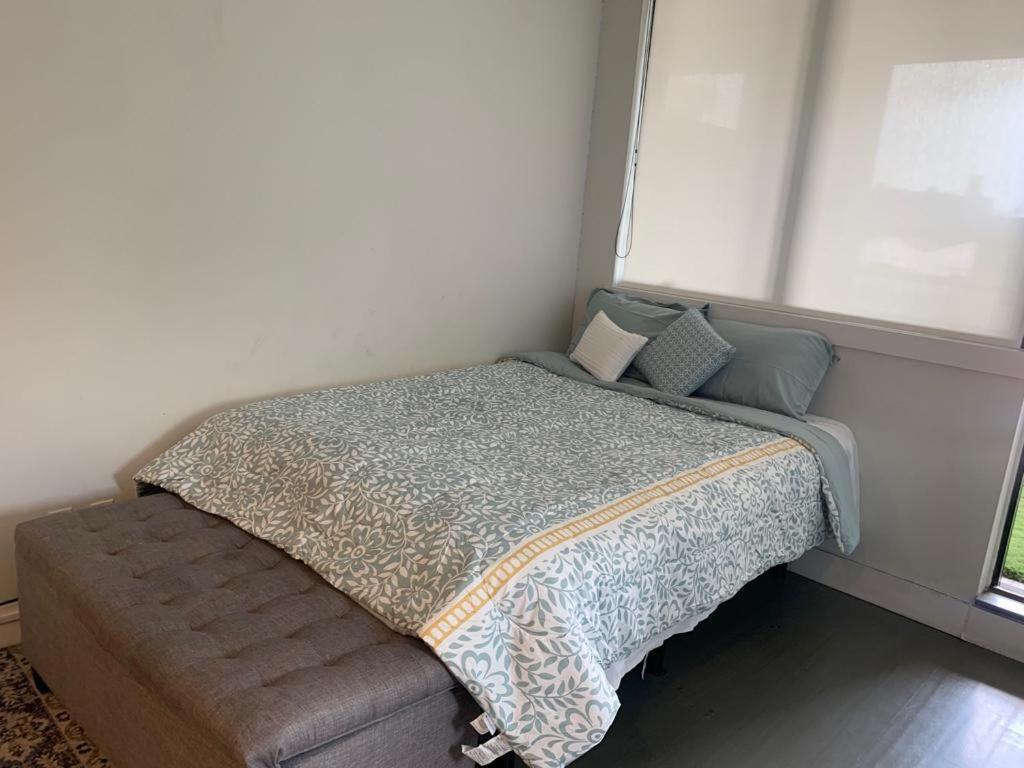 Apartment Best Studio You Can Find