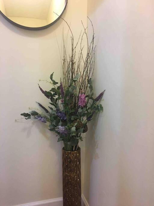 Zen Retreat New York