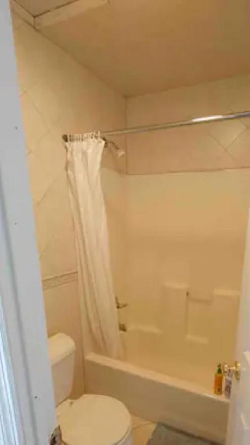 Spacious For 4 People In Williamsburg ! * New York