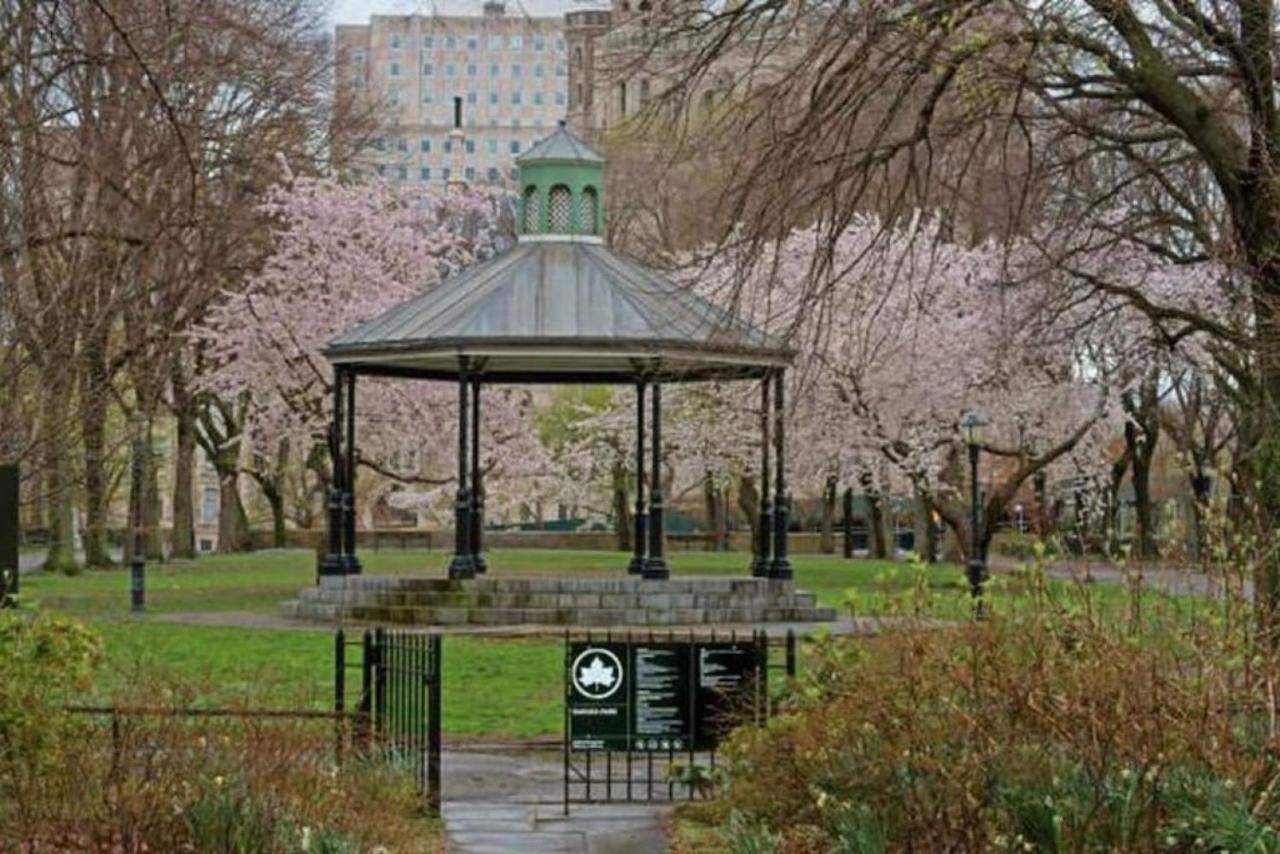 Ferienhaus Newly Renovated 3br Oasis Walk To Columbia Uni *