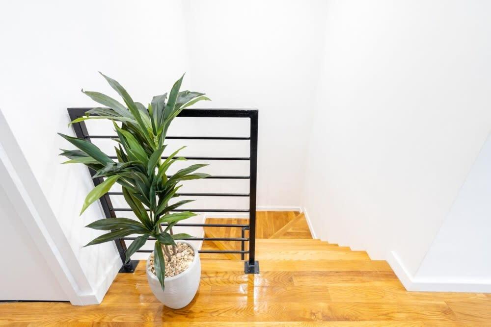 13-3 I Brand New 4br 3 Baths Duplex Private Roof Deck *