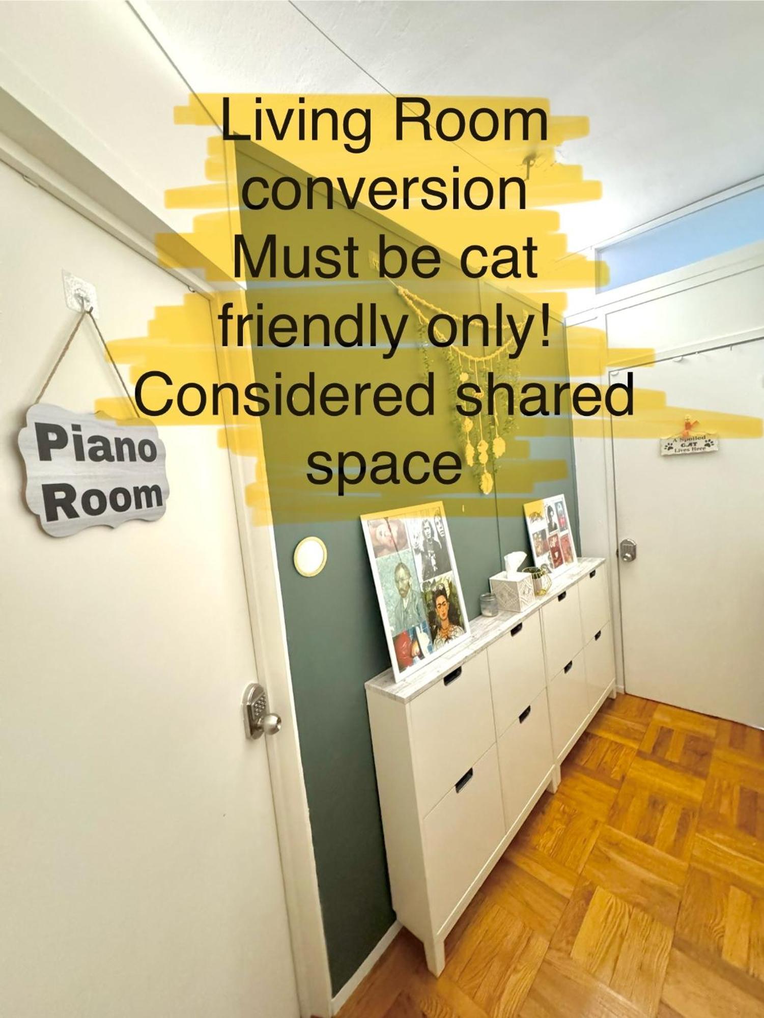 Cat By Delicate Living Conversion Shared Space Only Cat Friendly Only 25 Min To Time Square