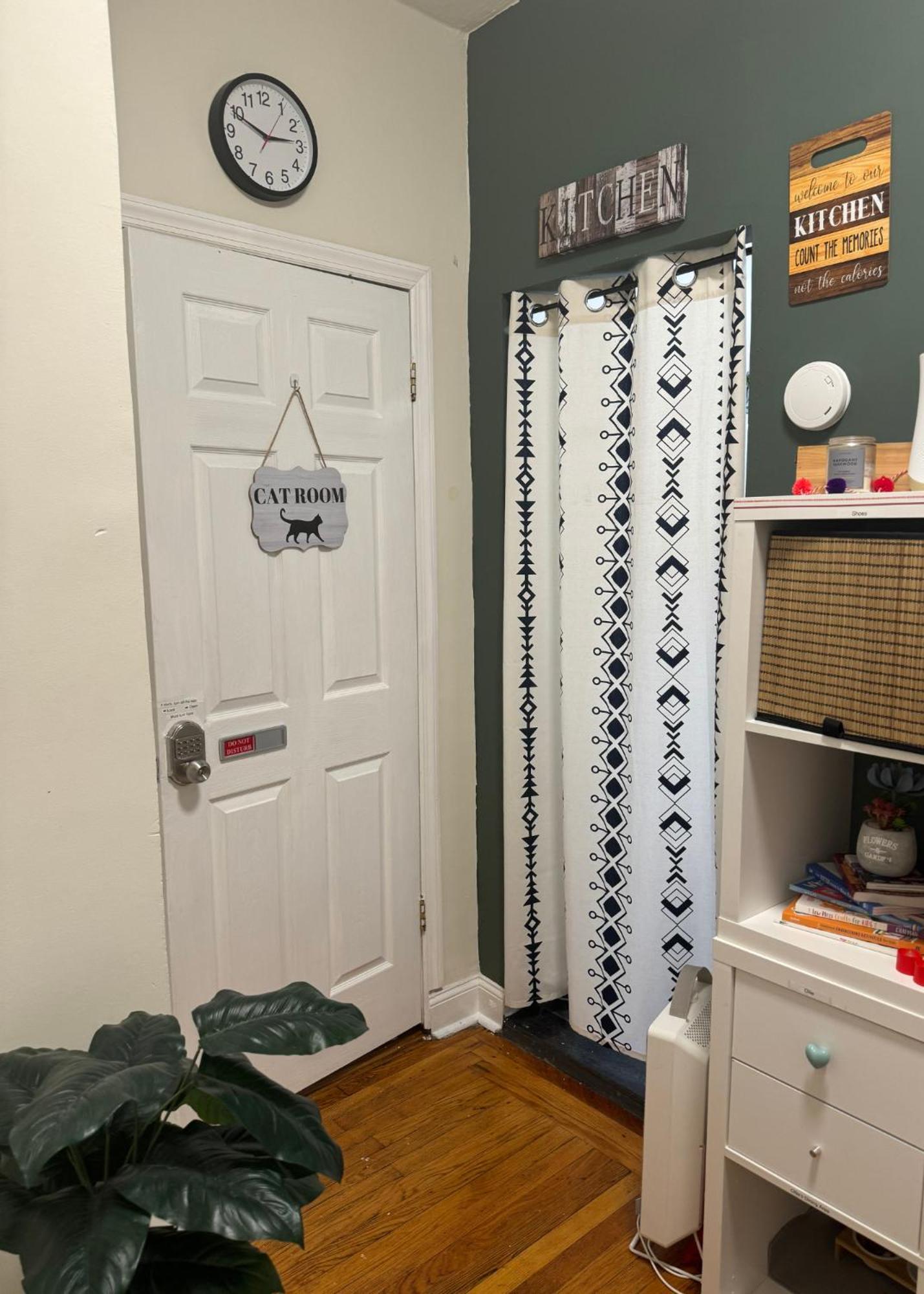 Apartment Cat By Delicate Living Conversion Shared Space Only Cat Friendly Only 25 Min To Time Square