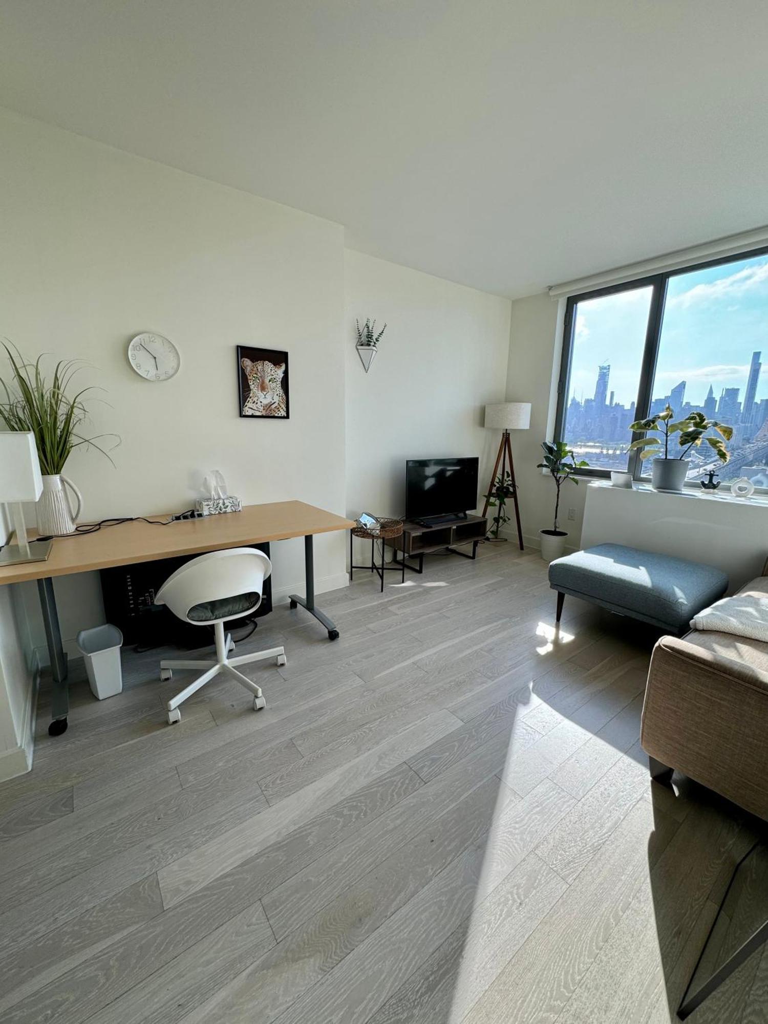 Apartment Beautiful Luxury Fantastic Manhattan Skyline View One Bedroom New York