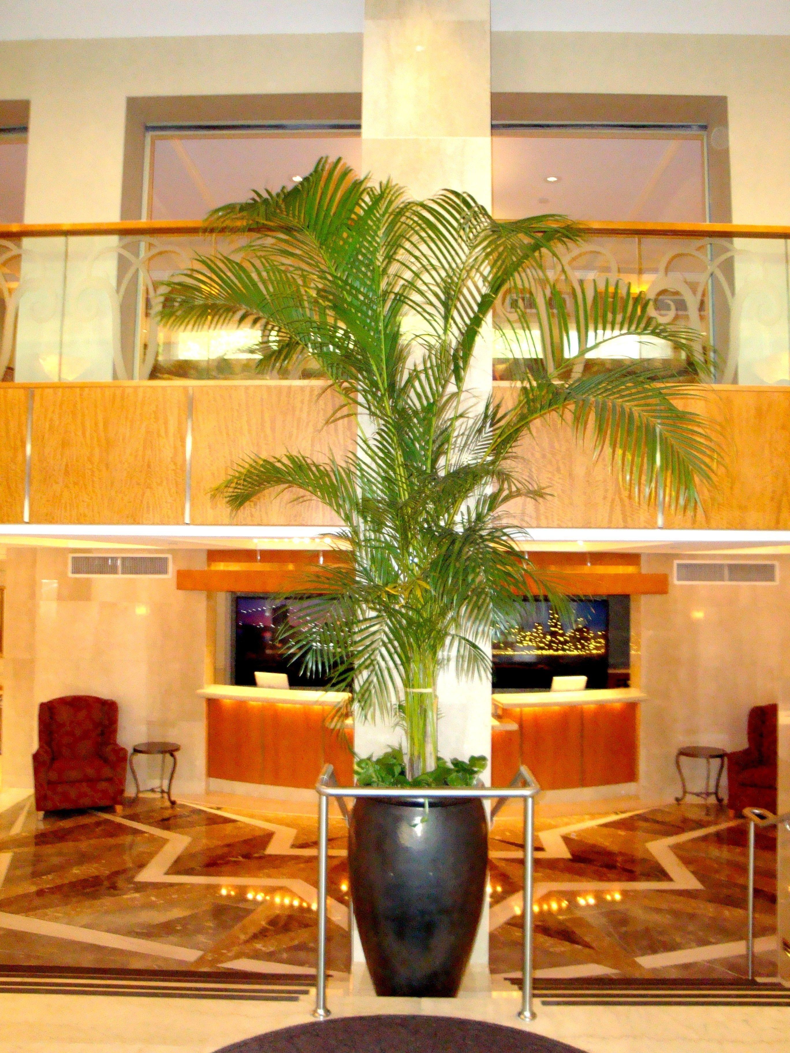 San Carlos 4* New York