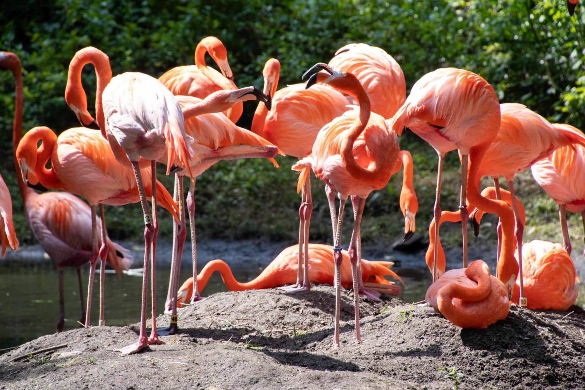 Express & Bronx - Zoo Area By Ihg 2*