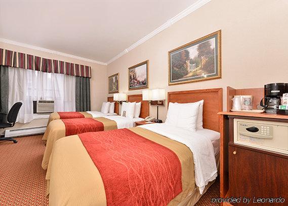 Comfort Chelsea Hotel New York