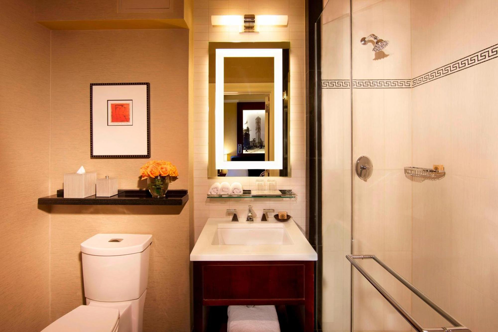 Hotel The Algonquin Times Square, Autograph Collection 4*