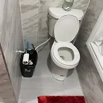 Affordable In Queens
