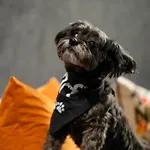 Aloft New York Chelsea