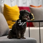 Aloft New York Chelsea