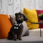 Aloft New York Chelsea