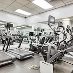 Murray Hill 2br W Wraparound Terrace Nr Park Nyc-1347 New York