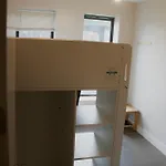 Guest Comes 1St