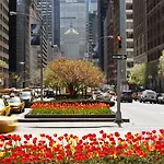 Loews Regency Hotel 5*