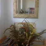 Boyd Apartment *
