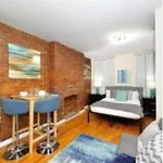 Beautiful Upper East Studio Near Central Park