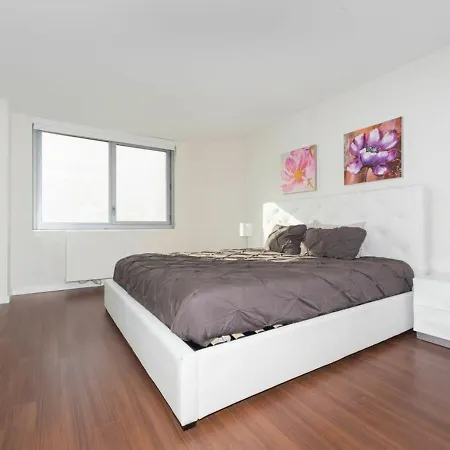 3 Bedroom Attractive At Midtown East New York