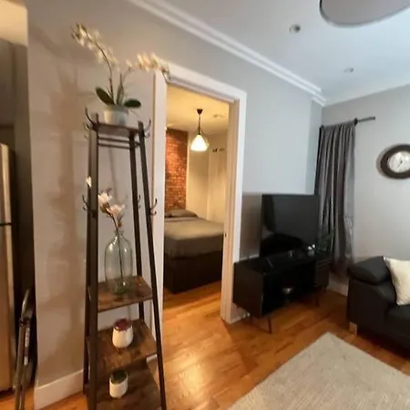Perfect Family 3bd In Flatbush Apartment