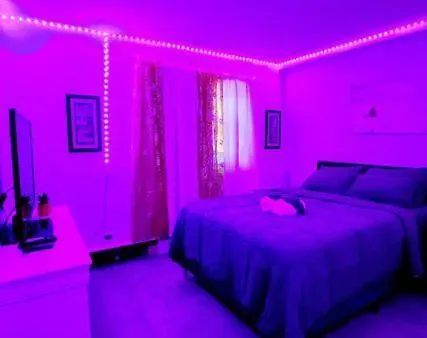 2 Bedroom Relaxation Of Staten Island Apartment *