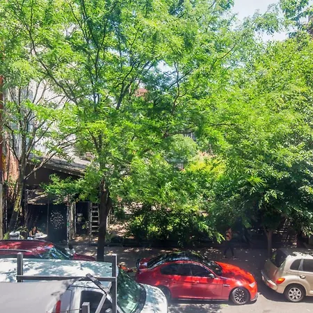 Sunny Nolita 1br W Wd Nr Soho Nyc-877 Apartment