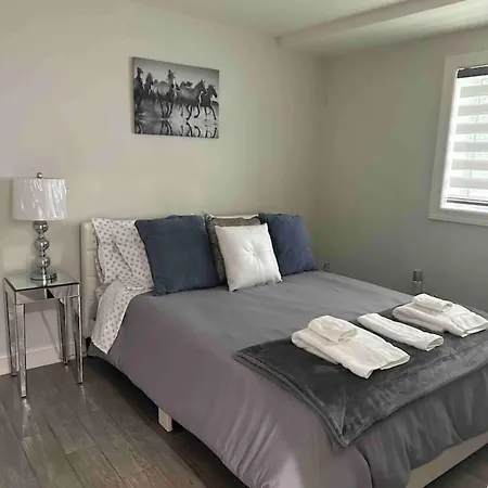 Cozy Alvana 1 Bed