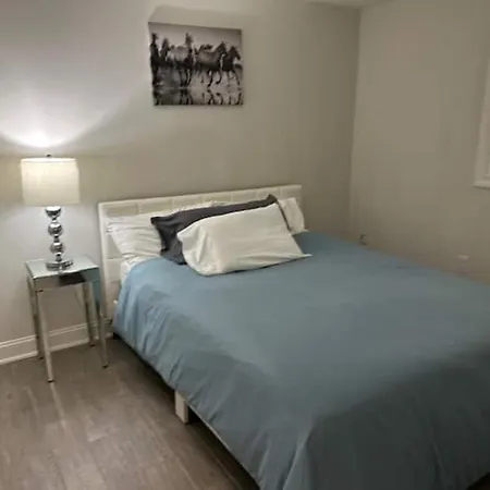 Apartment Cozy Alvana 1 Bed New York