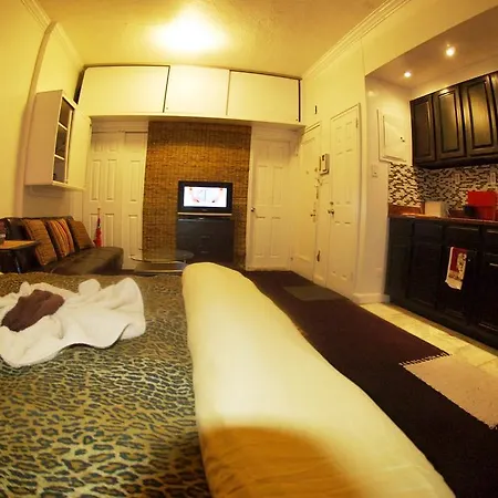 Charming Studio By Grand Central Apartment *