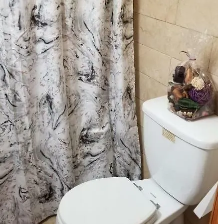 Apartment Cozy Escape In Bedstuy *