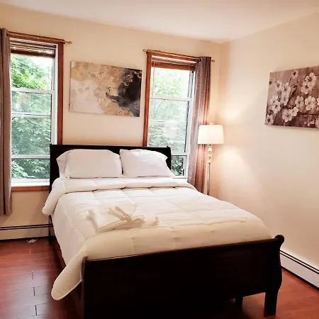 Cozy Escape In Bedstuy Apartment