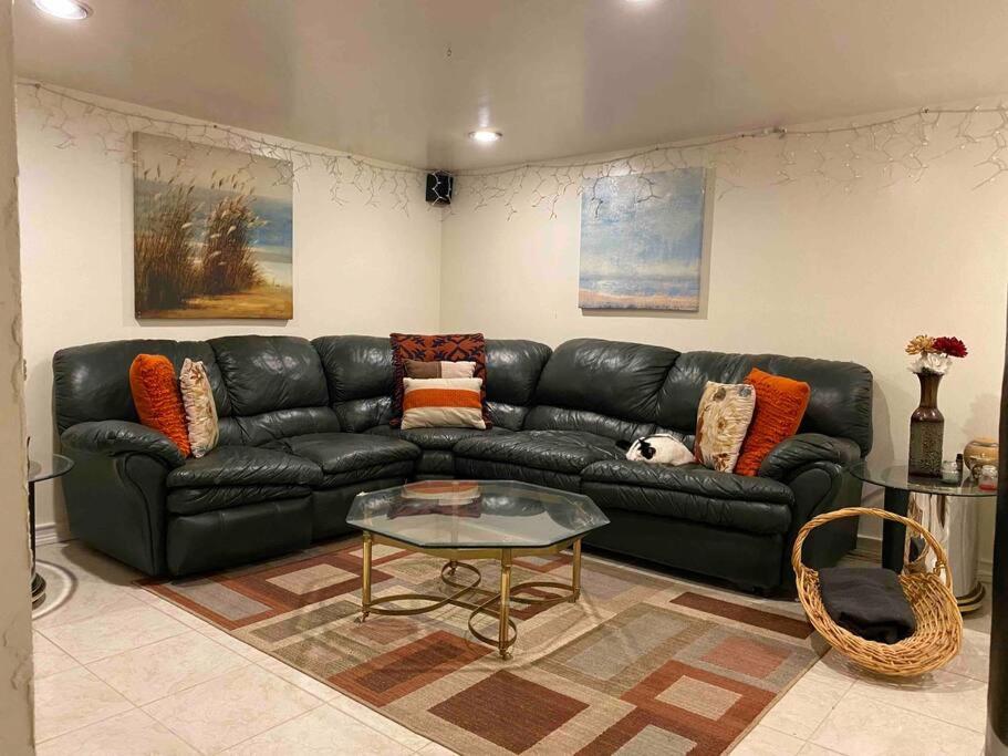 Treasure In Queens Appartement