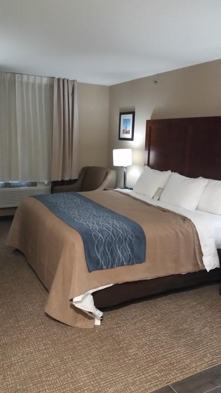 Comfort Jamaica Downtown Hotel